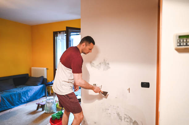 Best Mold Remediation  in Early, TX